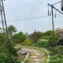 홍예민박 이미지