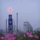 본당