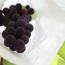 이상천 농장 이미지