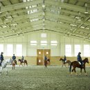 신경주대학교 승마장 이미지