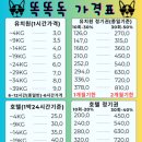 똑똑독 이미지