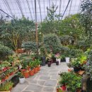 왕궁포레스트 이미지