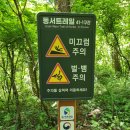 22세기 약국 | <퇴계선생 마지막 귀향길>재현행사 -빠진 퍼즐을 채우고260515