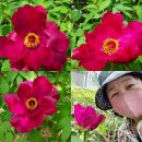 심방경로당 이미지