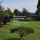 빛나오름