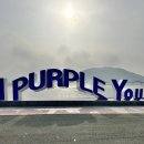 퍼플섬민박 이미지