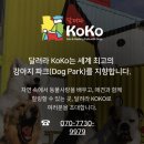 덕평휴게소 약국 | 덕평휴게소 맛집 방문후기 간식 추천🥤