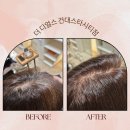 송희 | 건대 뿌리염색 잘하는 미용실 더 디얼스 롯데백화점 건대스타시티점 송희 디자이너 새치염색 후기
