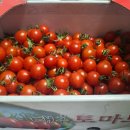 헤브론농장 이미지