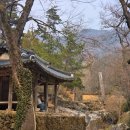 소쇄원 | 담양 소쇄원 완벽 가이드｜주차, 입장료, 소요시간 후기까지 총정리