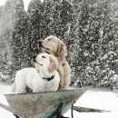 고마워강아지 이미지