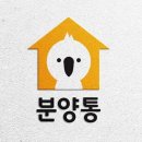 분양통 - 28985 | 분양통