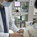 해피동물병원 이미지