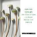 방배로42길 39 이미지