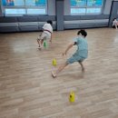 참교육태권도 이미지