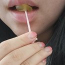 금산삼사랑농원