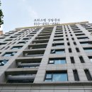 제니텔 네이버블로그