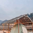 야자수펜션 이미지