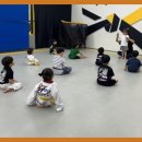 용인대대영태권도 이미지