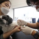 라퓨클레르 동물피부클리닉 이미지