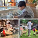 새말안길 | 동탄 아이와 함께 실내 동물체험 가능한 곳 총정리 | 쥬라리움·주렁주렁·하이애니멀