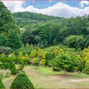 태허정로 이미지