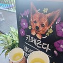 카페하린 이미지