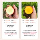 승주농장 이미지