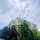 압구정-116 이미지