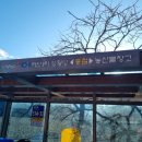 어단1리 이미지