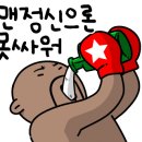 인복싱클럽 이미지