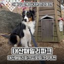 태산패밀리파크(관리동화장실) | 강아지산책 코스 추천 강아지공원 태산패밀리파크 김포 피크닉 추천