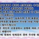 일신초교 이미지