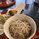 6171 | 마쓰야마 우치코 맛집 '시모하가테이' : 현지인 추천 메밀소바 덴푸라 솔직후기