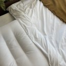 세탁삼양사 이미지