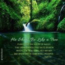 테힐림(Tehillim)