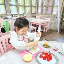 초등아이와 가볼만한곳 청도 프로방스 365일 크리스마스 축제 (입장권,체험가격)