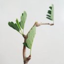 세나농장 이미지