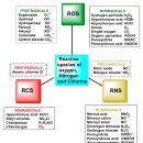 Re: free radical이 일으키는 질환 --＞ 항산화 물질들 2025 네이처!! 이미지