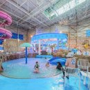 새온천탕 이미지