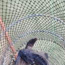 영희네민박 이미지