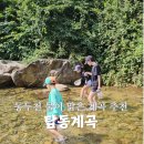꽃과차가있는샘터 | 동두천 탑동계곡 샘터농원 주차 정보부터 캠핑 카페 후기 여름 나들이 추천