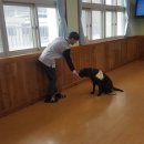 기린중학교 이미지