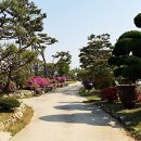 발효정원