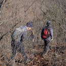 청벽산(467m). 시루봉산(517m). 깃대봉( 515m△ 미원 432). 쌍학봉(356m) /충북 보은. 청주 이미지