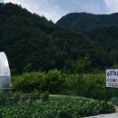 성흥농원 이미지