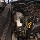 카프로샵 시흥/정왕점 이미지