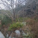 그랜드자연요양병원 이미지