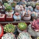 해랑농장 이미지