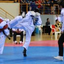 영광태권도체육관 이미지